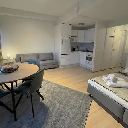 Апартаменты Northern Nest Рованиеми